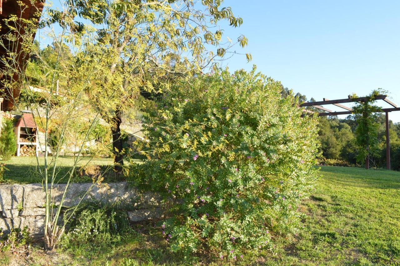 Airinos De Mondariz Villa Bagian luar foto