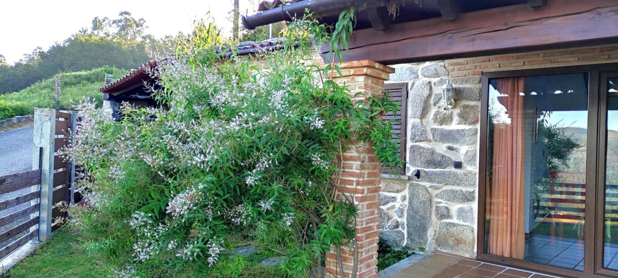 Airinos De Mondariz Villa Bagian luar foto